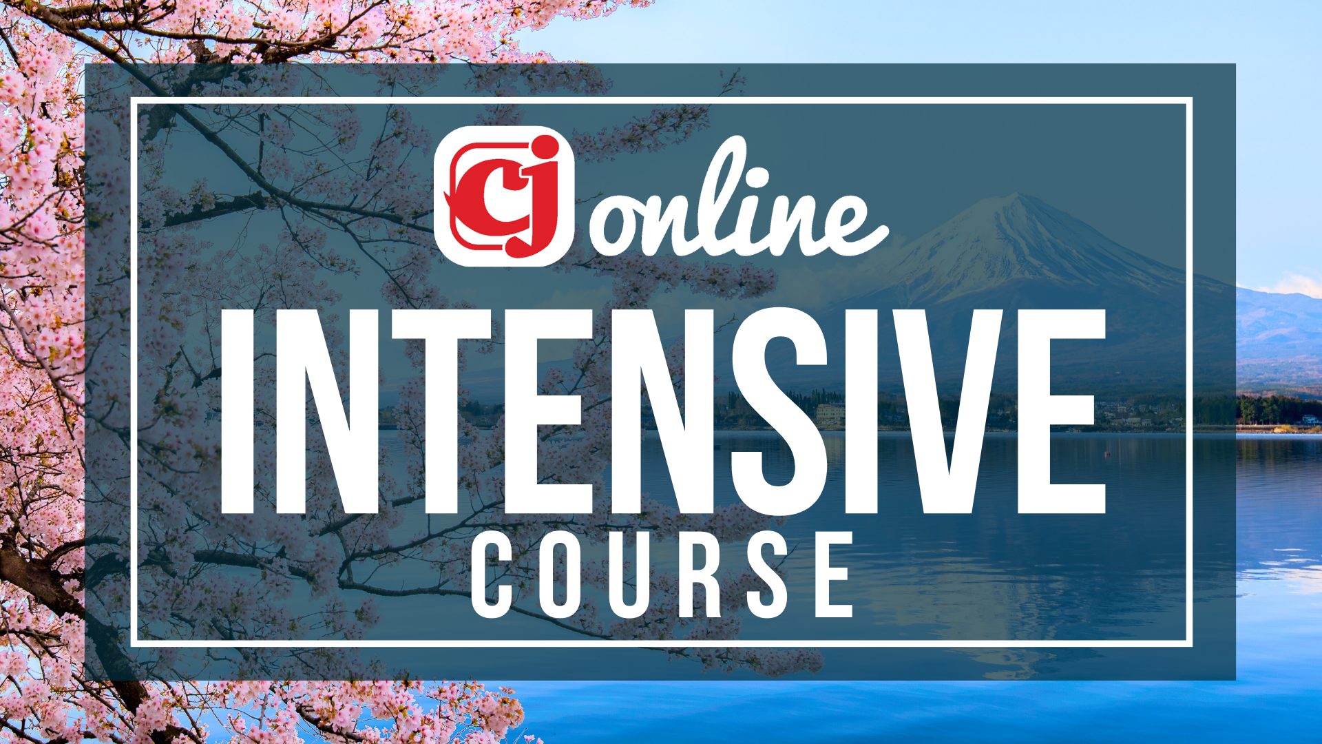 INTENSIVE COURSE ACCESS
